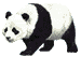 Panda-Br